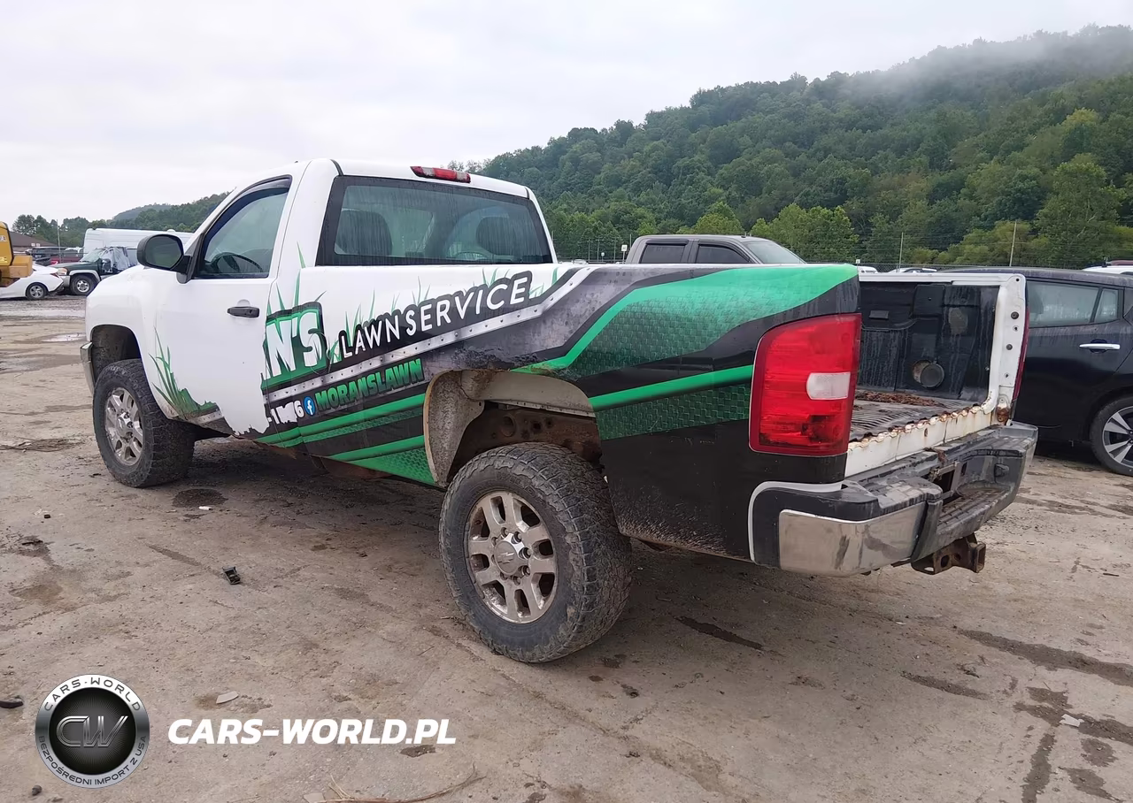 2014 Chevrolet Silverado 2500Hd Work Truck VIN:1GC0KVCG8EF112050 - 3