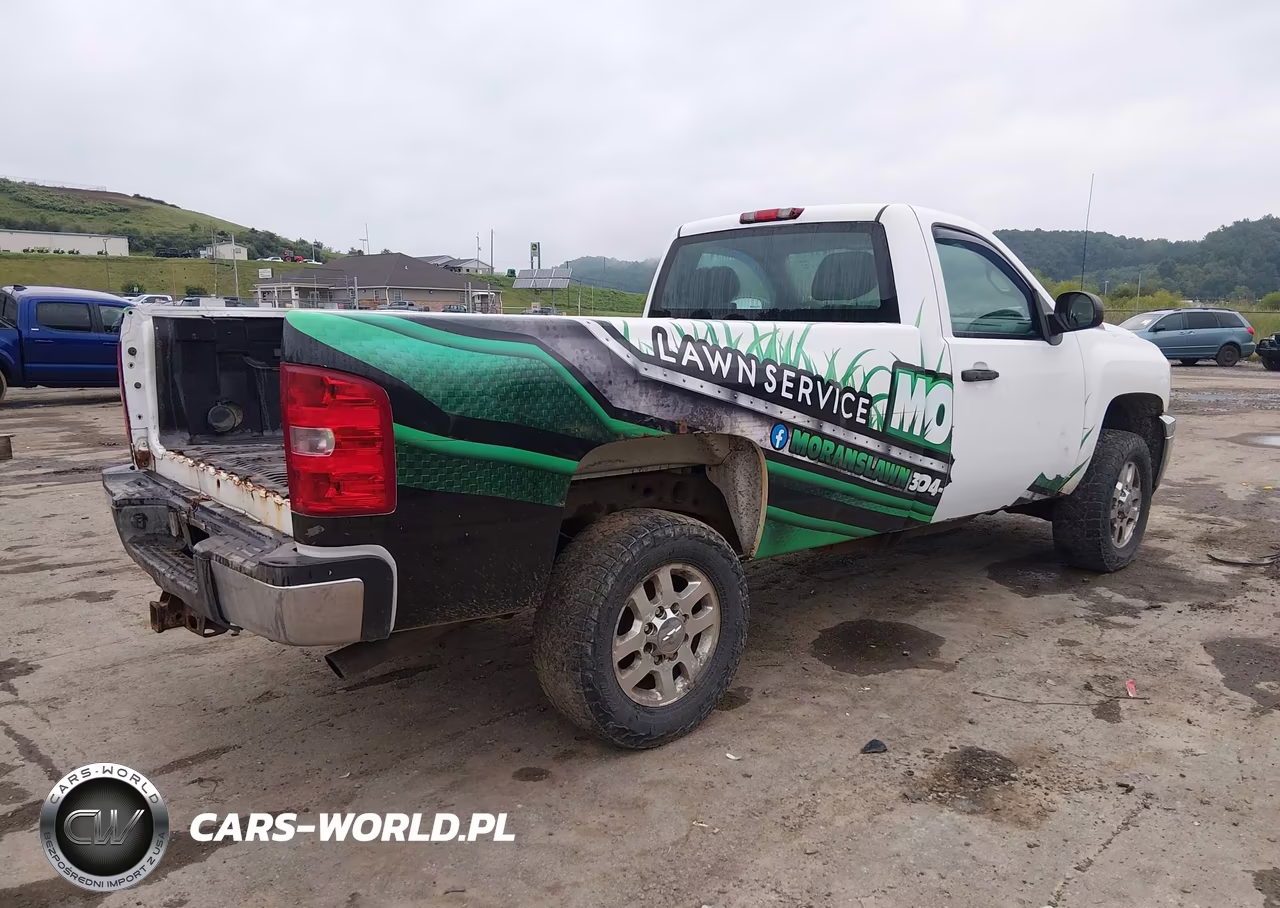 2014 Chevrolet Silverado 2500Hd Work Truck VIN:1GC0KVCG8EF112050 - 4