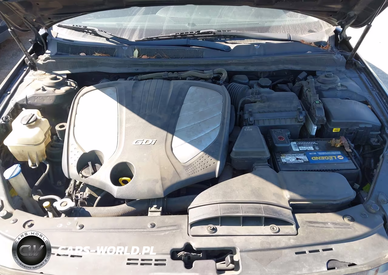 2014 Kia Cadenza Premium VIN:KNALN4D74E5138855 - 10
