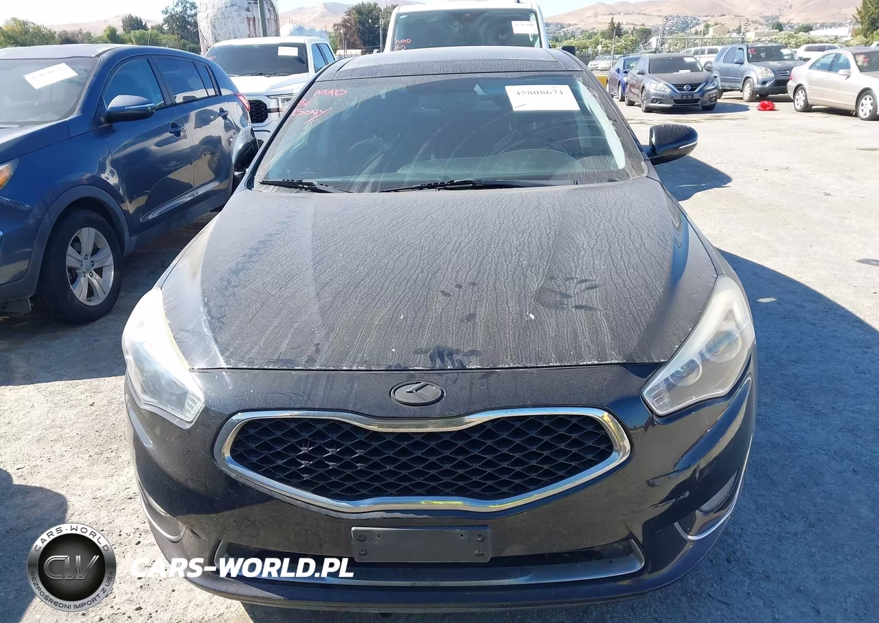 2014 Kia Cadenza Premium VIN:KNALN4D74E5138855 - 6