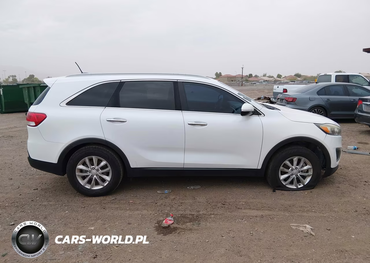 2017 Kia Sorento 2.4L Lx VIN:5XYPG4A36HG298408 - 13