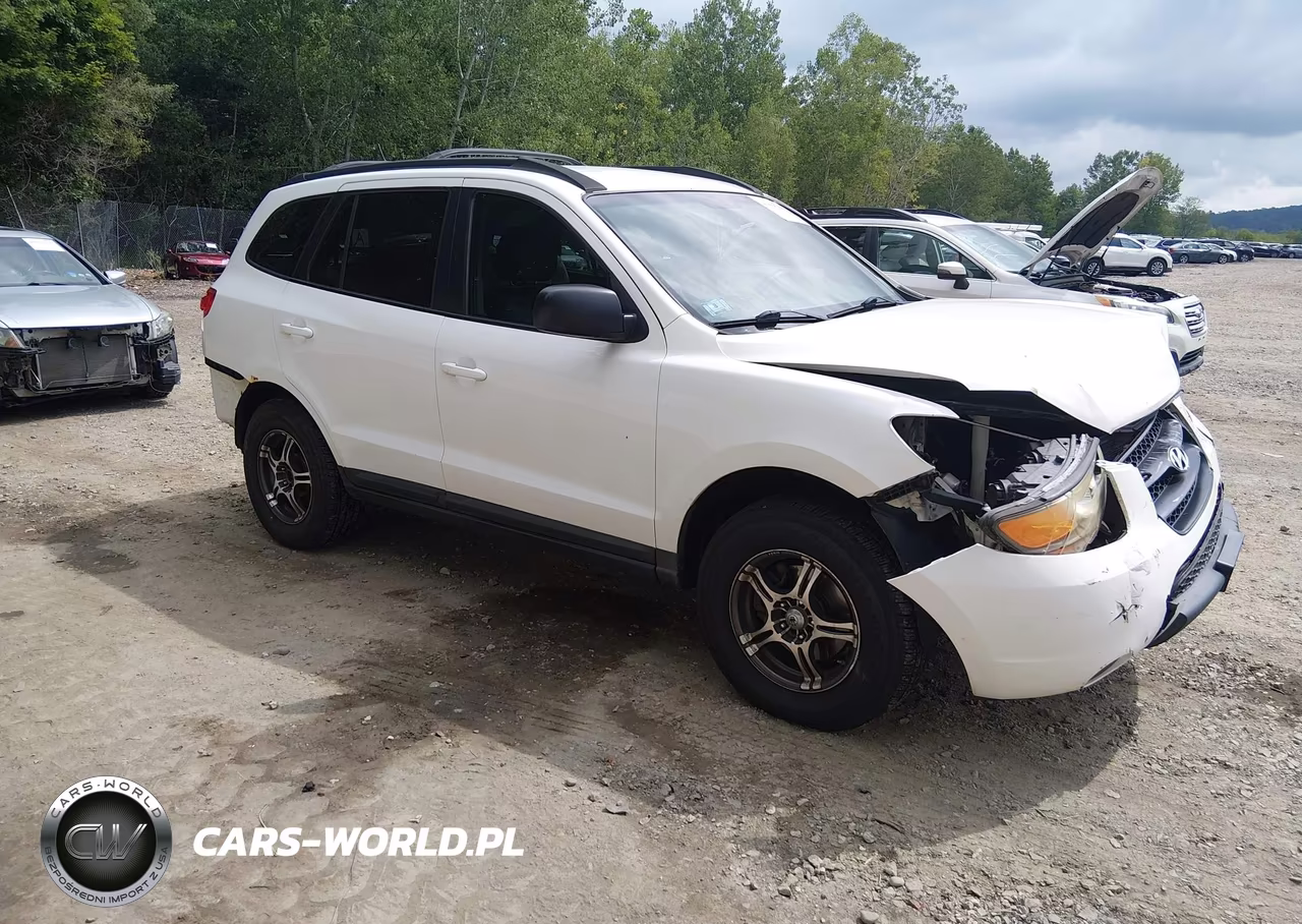 2009 Hyundai Santa Fe Gls