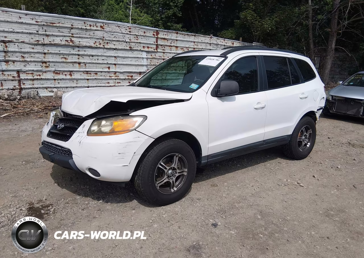 2009 Hyundai Santa Fe Gls VIN:5NMSG73D99H303111 - 2