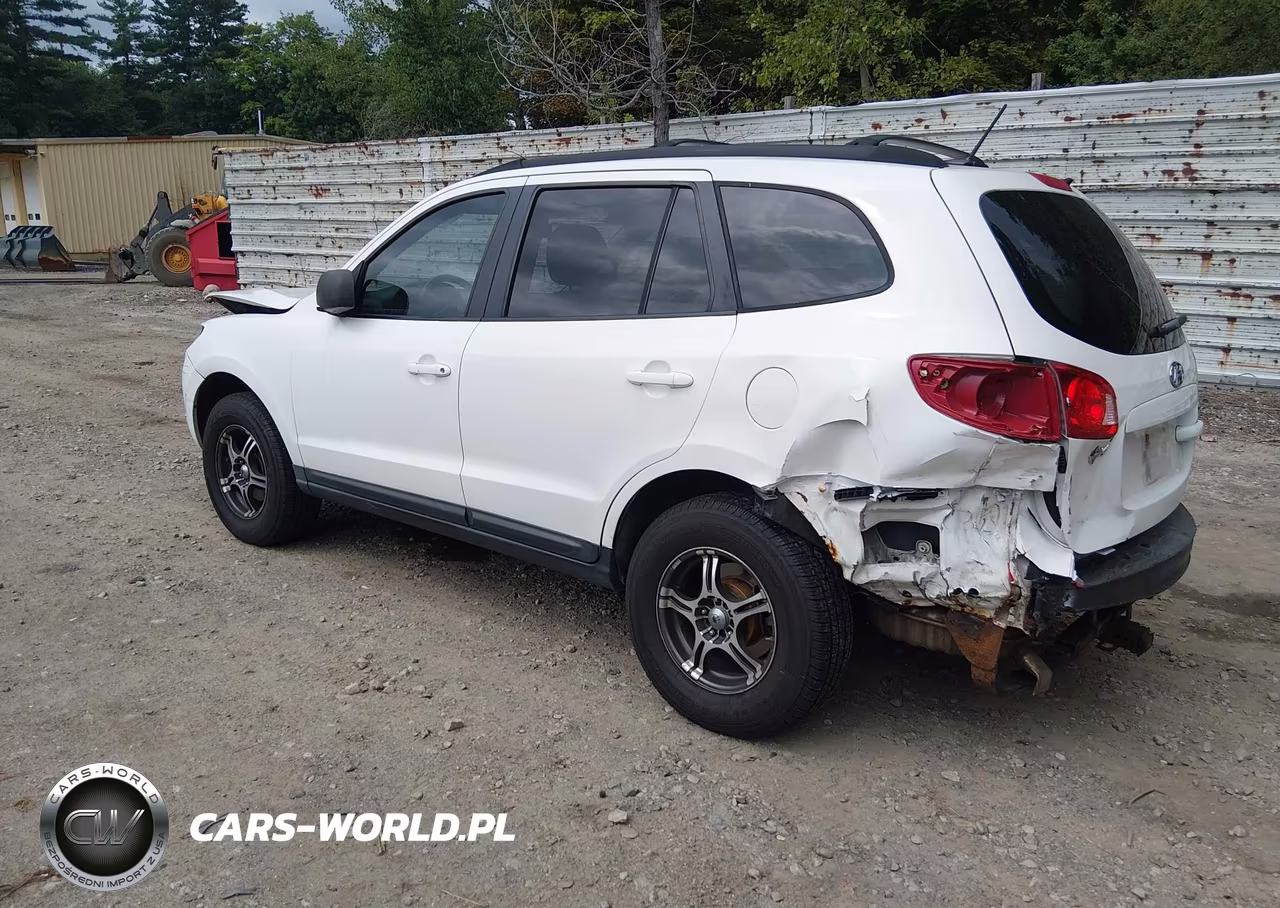 2009 Hyundai Santa Fe Gls VIN:5NMSG73D99H303111 - 3