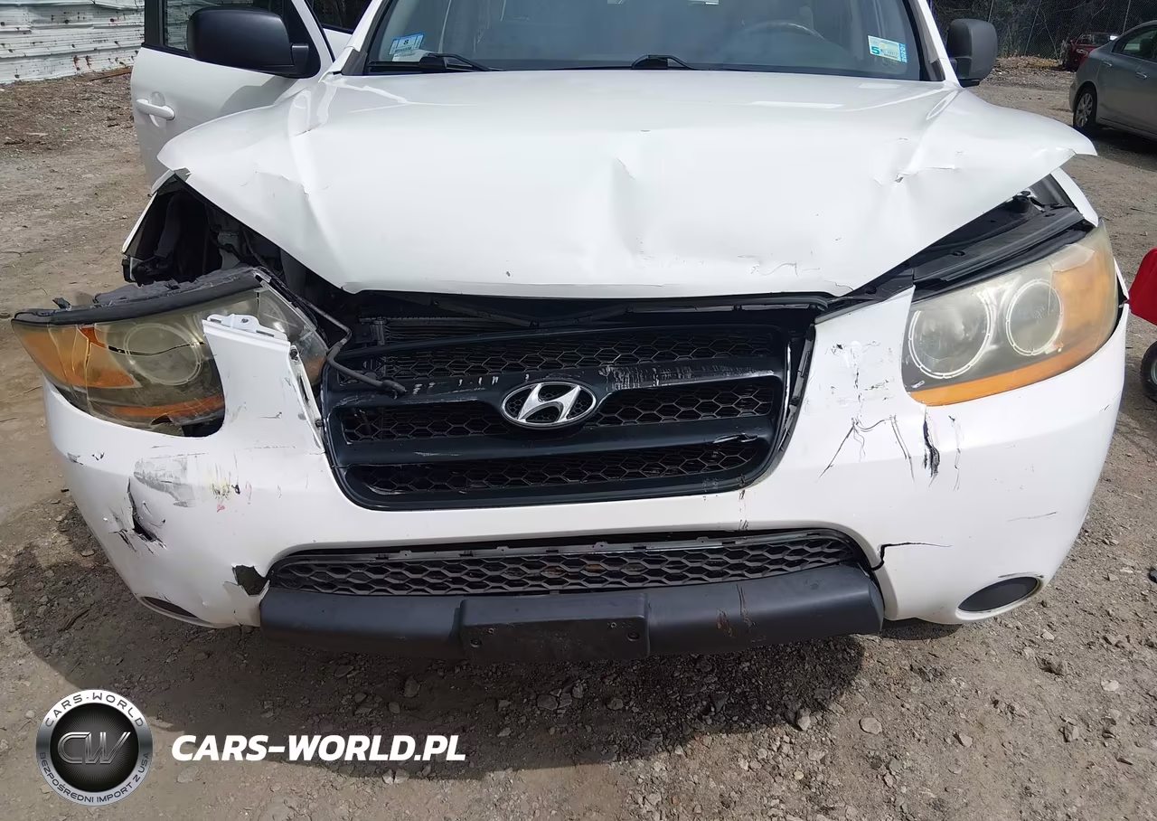 2009 Hyundai Santa Fe Gls VIN:5NMSG73D99H303111 - 6