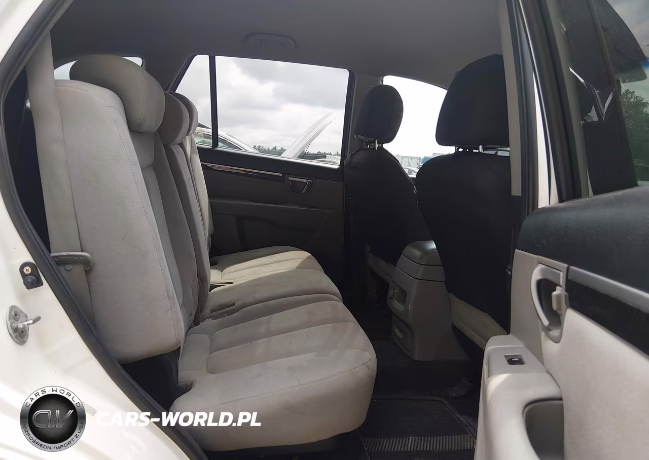 2009 Hyundai Santa Fe Gls VIN:5NMSG73D99H303111 - 8