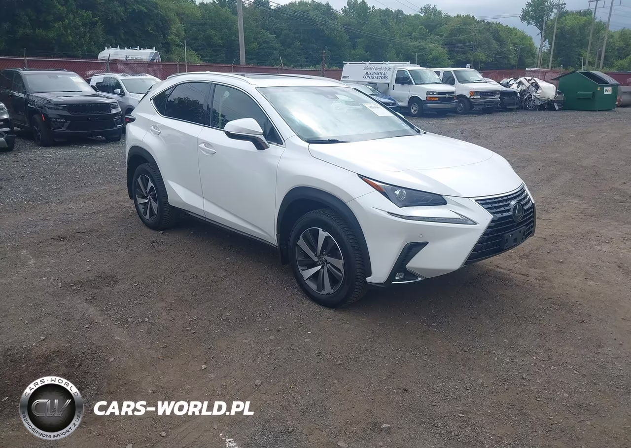 2018 Lexus Nx 300