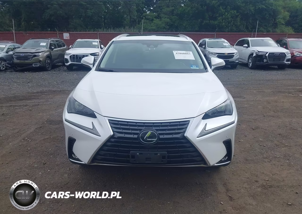 2018 Lexus Nx 300 VIN:JTJBARBZ5J2171366 - 12