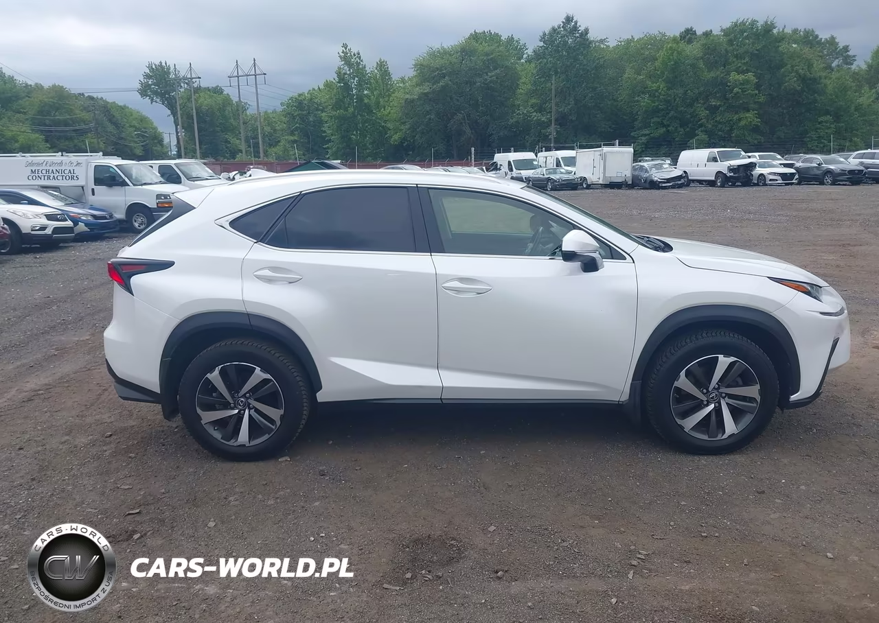 2018 Lexus Nx 300 VIN:JTJBARBZ5J2171366 - 13