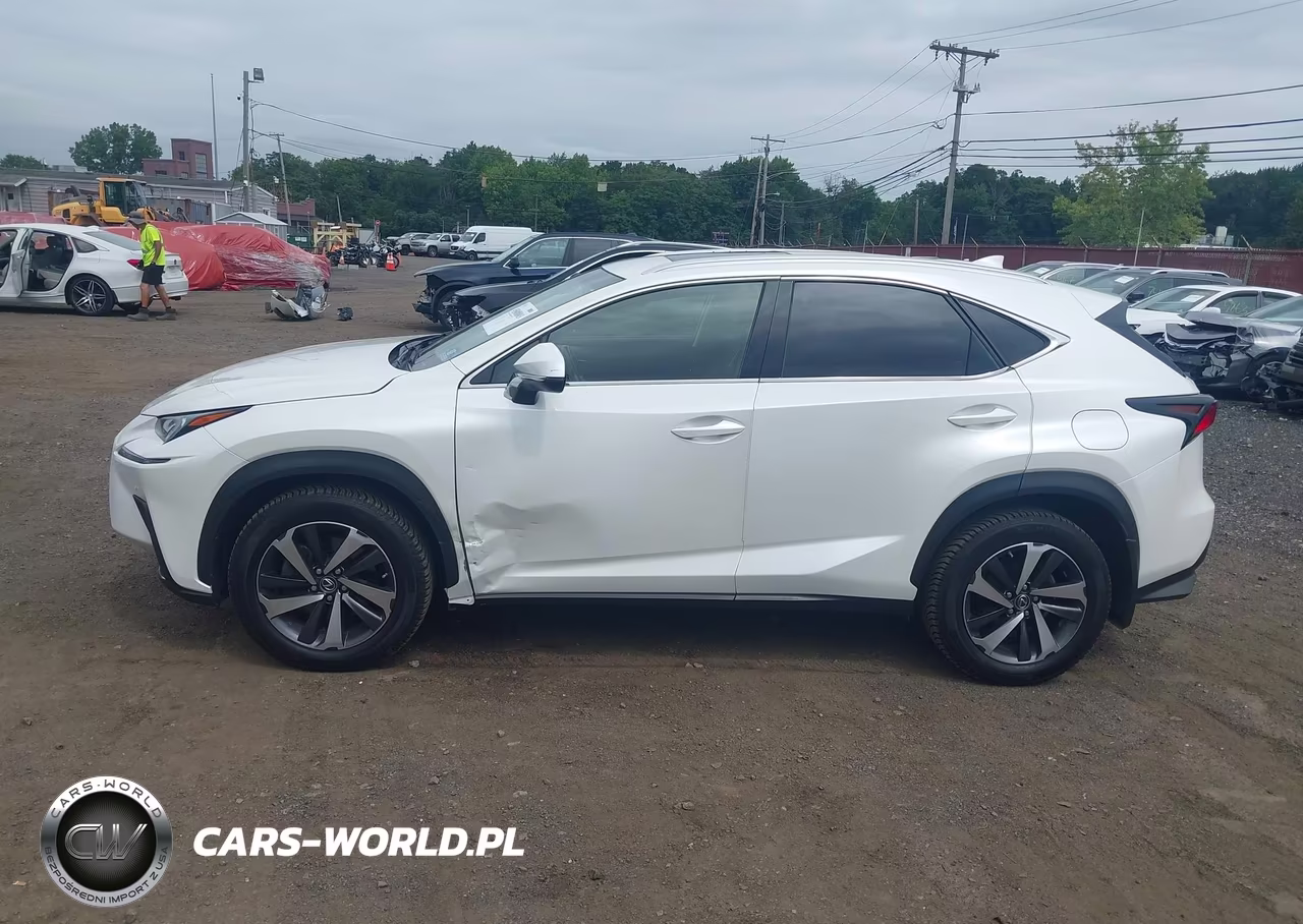 2018 Lexus Nx 300 VIN:JTJBARBZ5J2171366 - 14