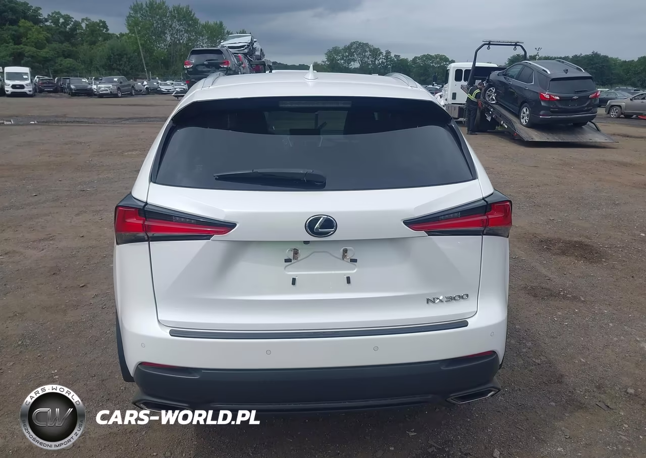 2018 Lexus Nx 300 VIN:JTJBARBZ5J2171366 - 16