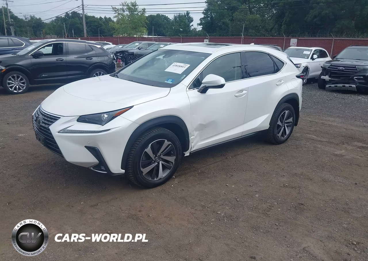2018 Lexus Nx 300 VIN:JTJBARBZ5J2171366 - 2
