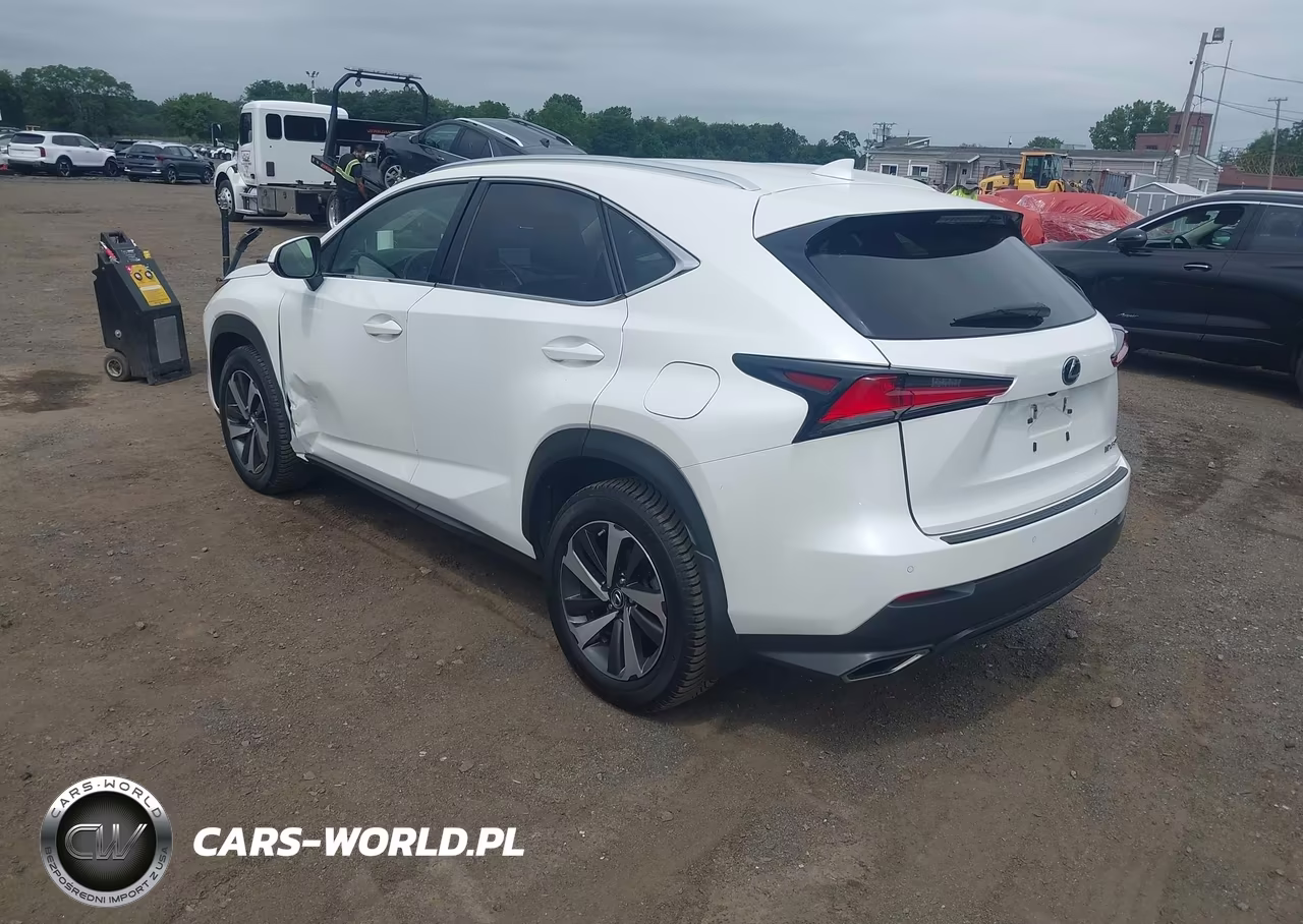 2018 Lexus Nx 300 VIN:JTJBARBZ5J2171366 - 3