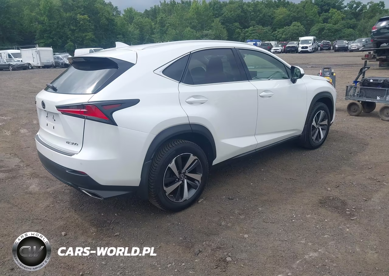2018 Lexus Nx 300 VIN:JTJBARBZ5J2171366 - 4