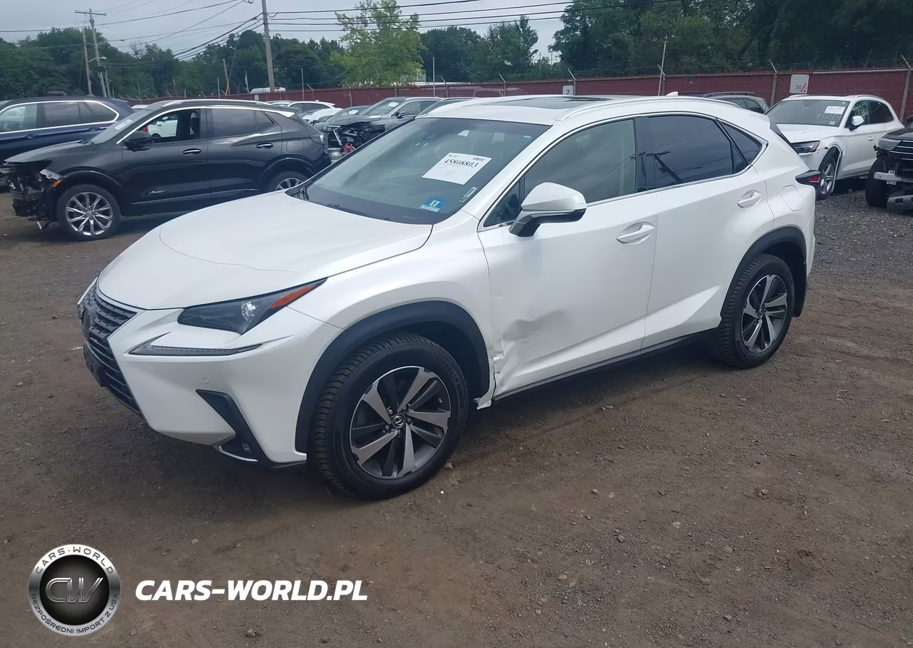 2018 Lexus Nx 300 VIN:JTJBARBZ5J2171366 - 6