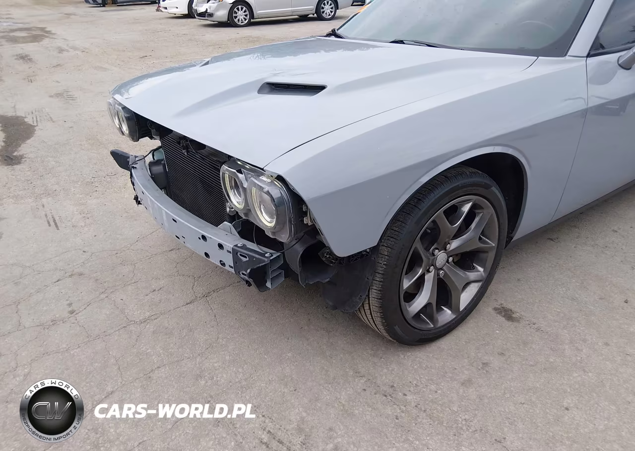 2020 Dodge Challenger Sxt VIN:2C3CDZAG5LH199147 - 18