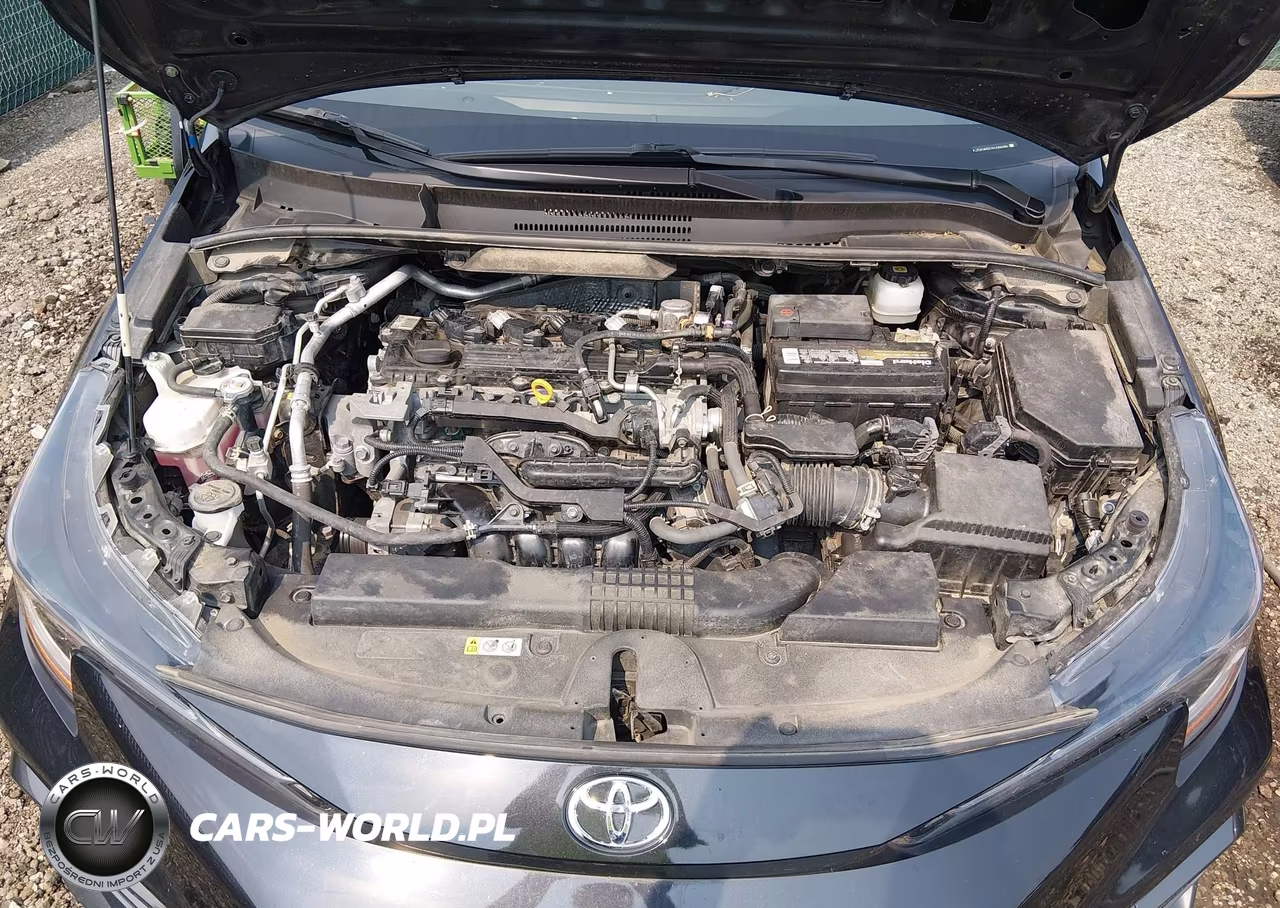 2021 Toyota Corolla Se VIN:JTDP4MCE1MJ066686 - 10