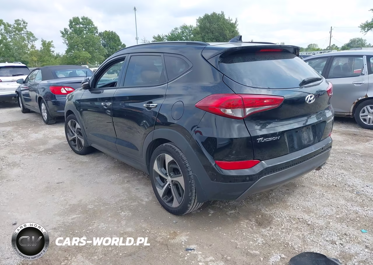 2016 Hyundai Tucson Limited VIN:KM8J33A21GU038090 - 3