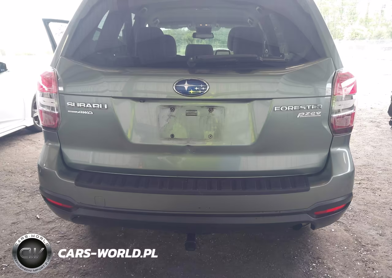 2015 Subaru Forester 2.5I VIN:JF2SJABC3FH801116 - 17