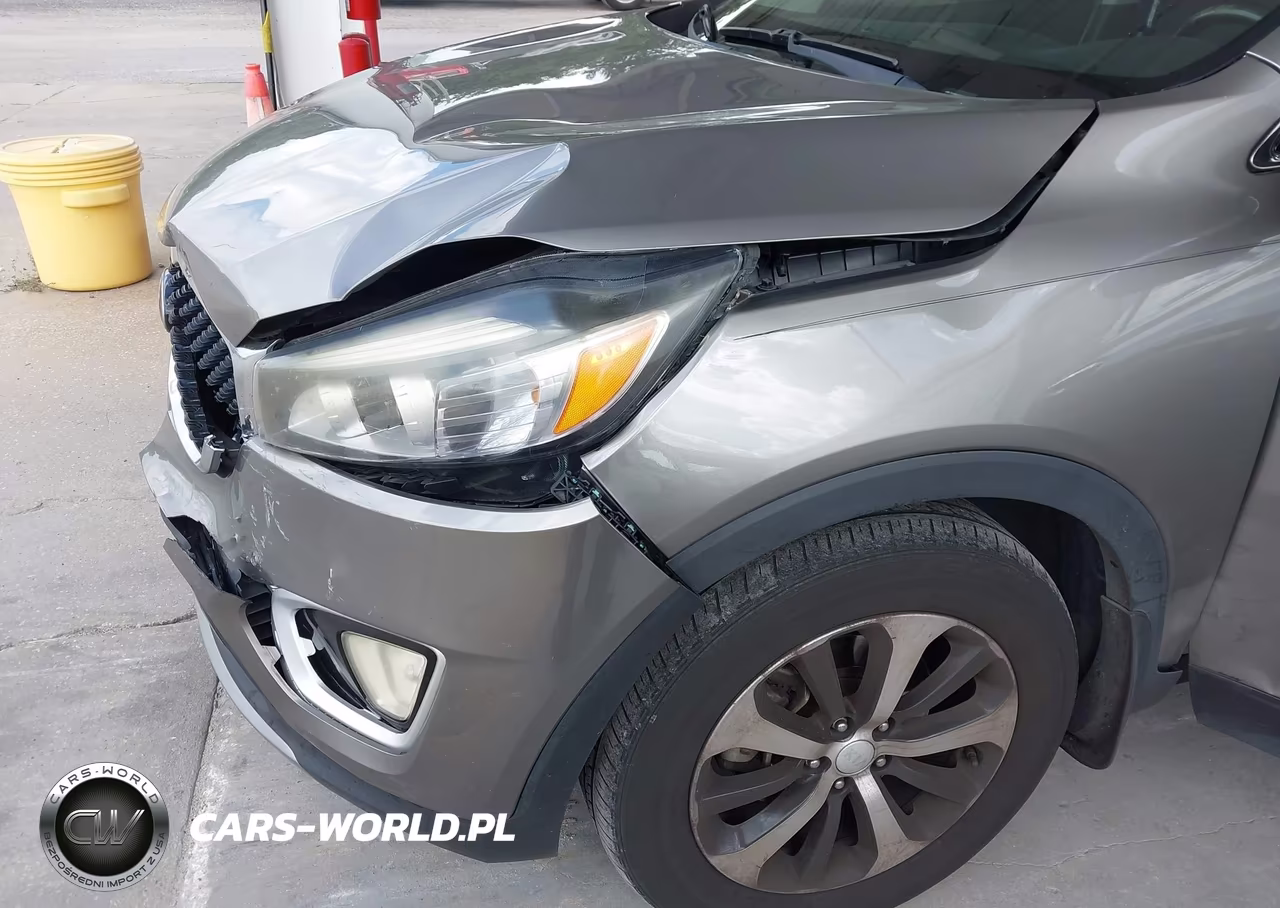 2017 Kia Sorento 2.0T Ex VIN:5XYPH4A11HG190466 - 17