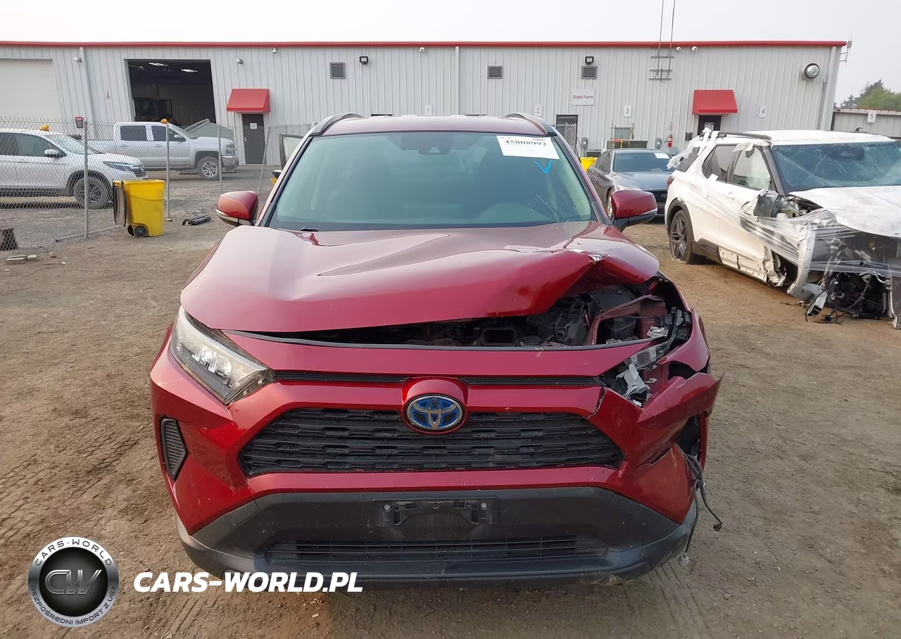 2019 Toyota Rav4 Le VIN:JTMMWRFV9KD009508 - 12