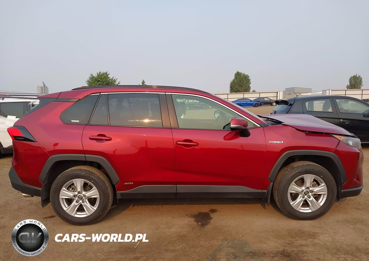 2019 Toyota Rav4 Le VIN:JTMMWRFV9KD009508 - 13