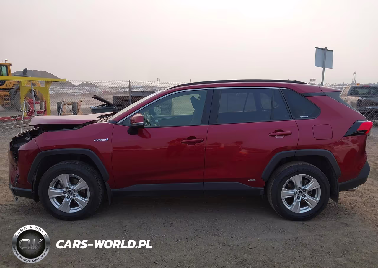 2019 Toyota Rav4 Le VIN:JTMMWRFV9KD009508 - 14