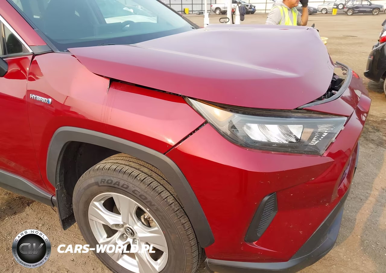 2019 Toyota Rav4 Le VIN:JTMMWRFV9KD009508 - 17
