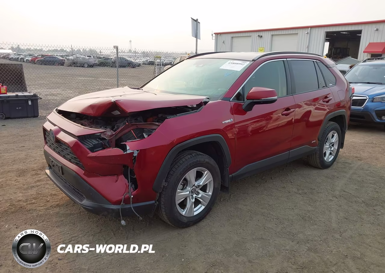 2019 Toyota Rav4 Le VIN:JTMMWRFV9KD009508 - 2