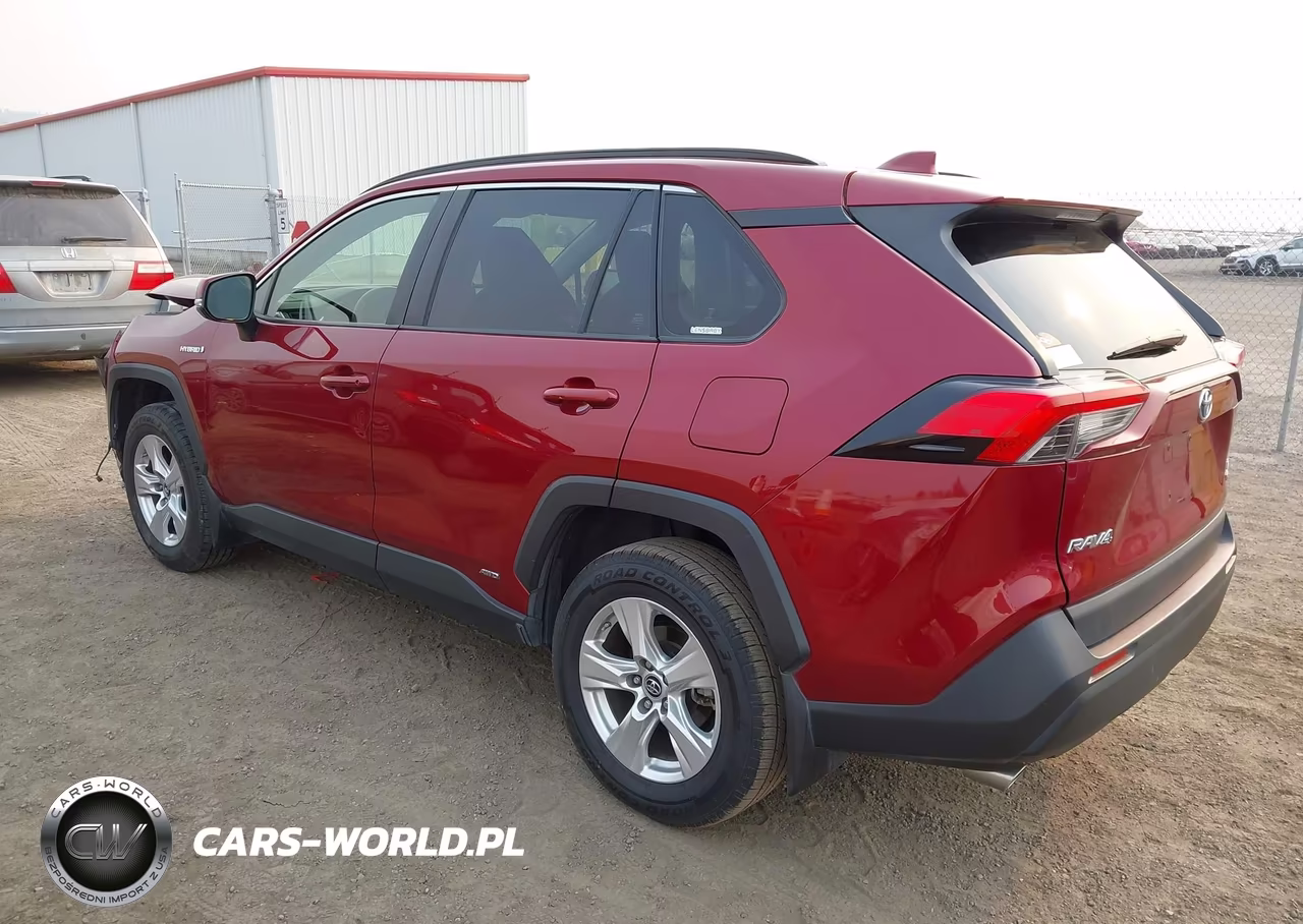 2019 Toyota Rav4 Le VIN:JTMMWRFV9KD009508 - 3
