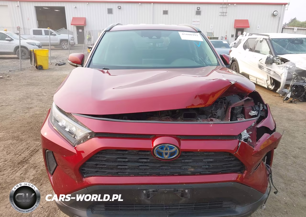 2019 Toyota Rav4 Le VIN:JTMMWRFV9KD009508 - 6