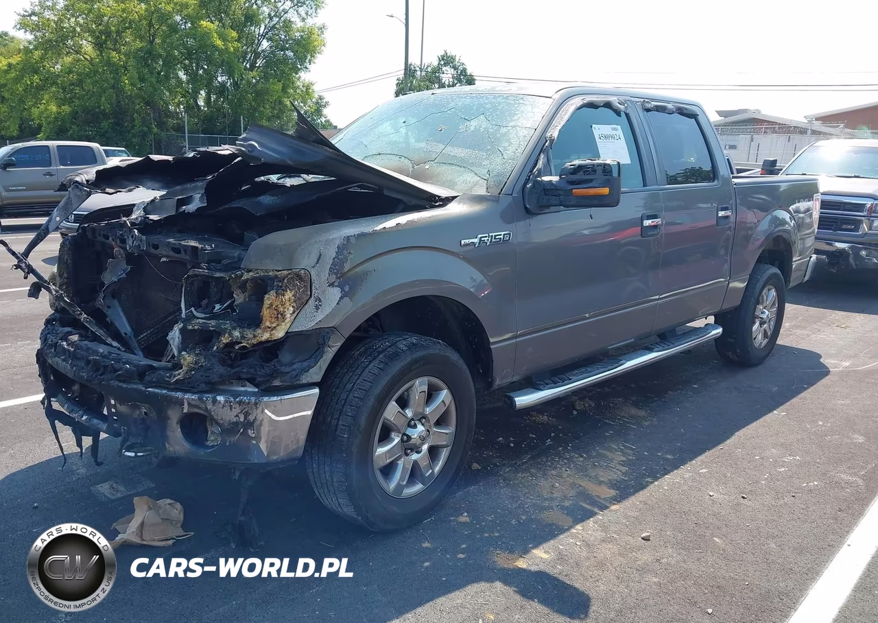 2013 Ford F-150 Xlt VIN:1FTFW1EF3DKG27703 - 2