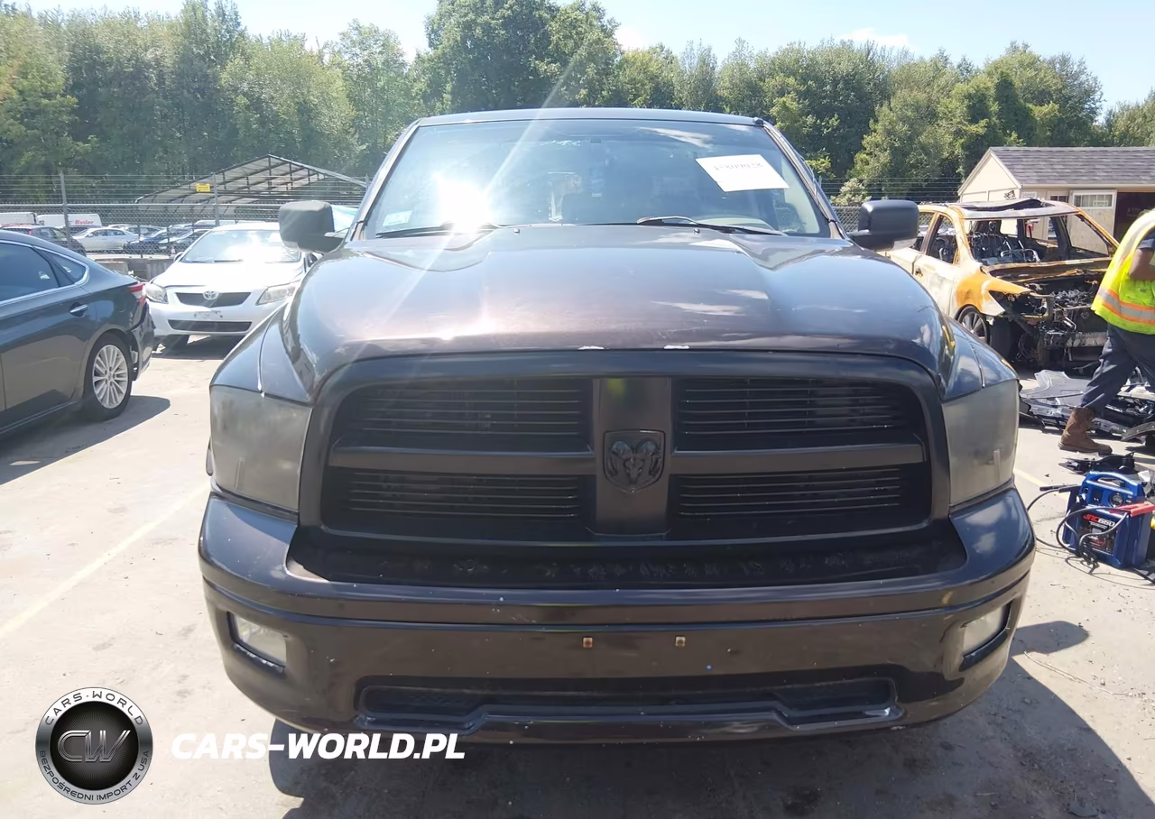 2010 Dodge Ram 1500 Slt-Sport-Trx VIN:1D7RV1CT7AS239187 - 12