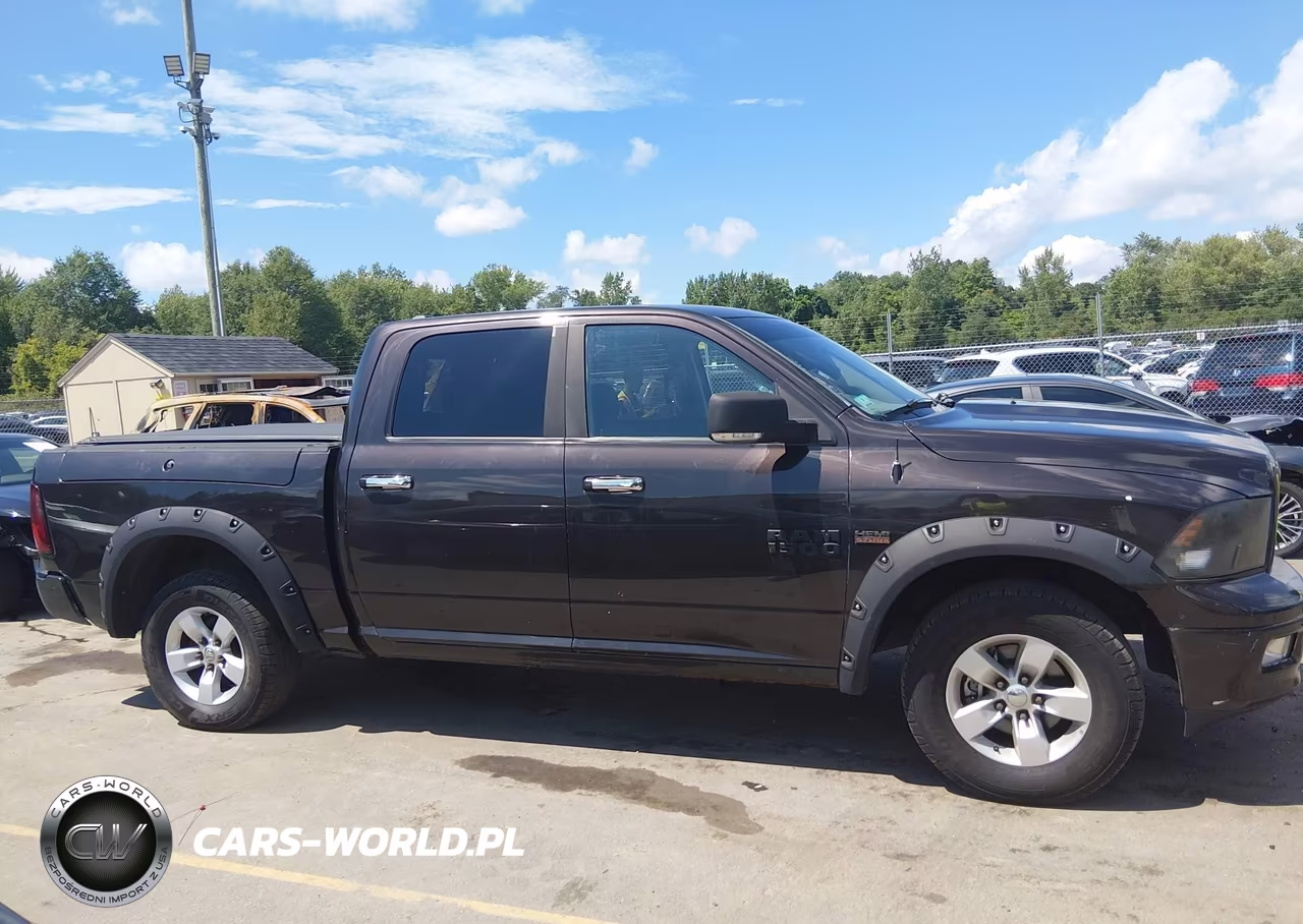 2010 Dodge Ram 1500 Slt-Sport-Trx VIN:1D7RV1CT7AS239187 - 13