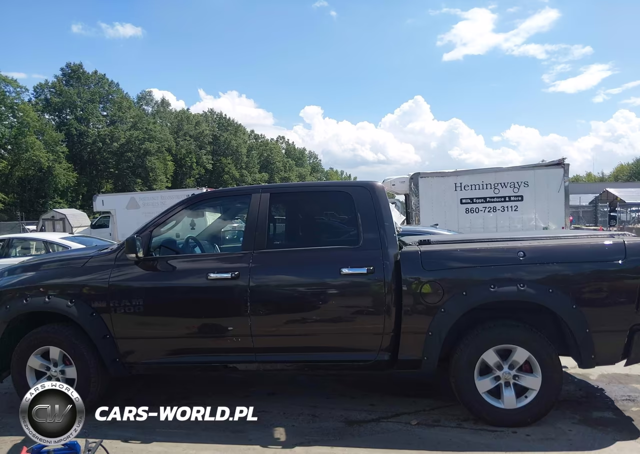 2010 Dodge Ram 1500 Slt-Sport-Trx VIN:1D7RV1CT7AS239187 - 14