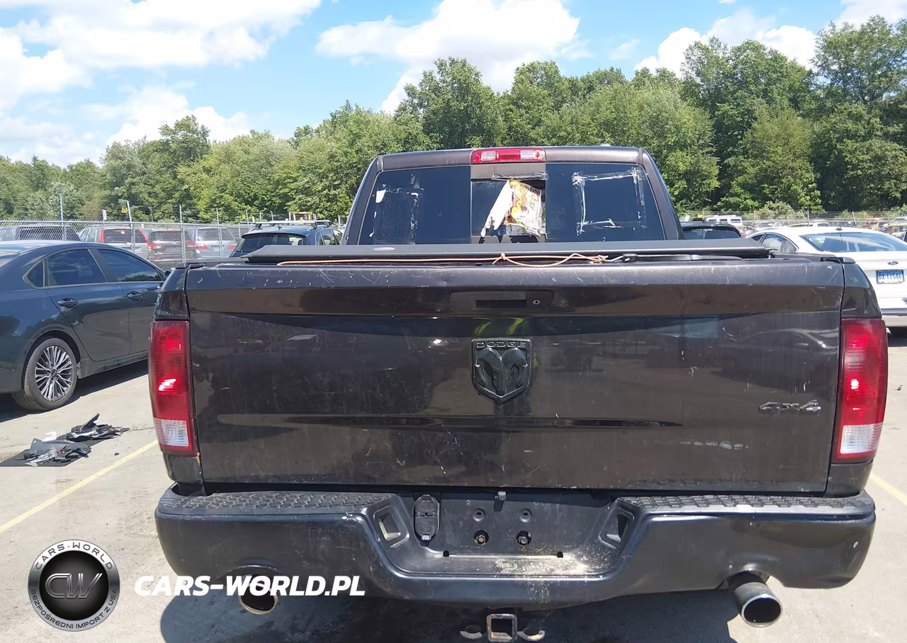 2010 Dodge Ram 1500 Slt-Sport-Trx VIN:1D7RV1CT7AS239187 - 16