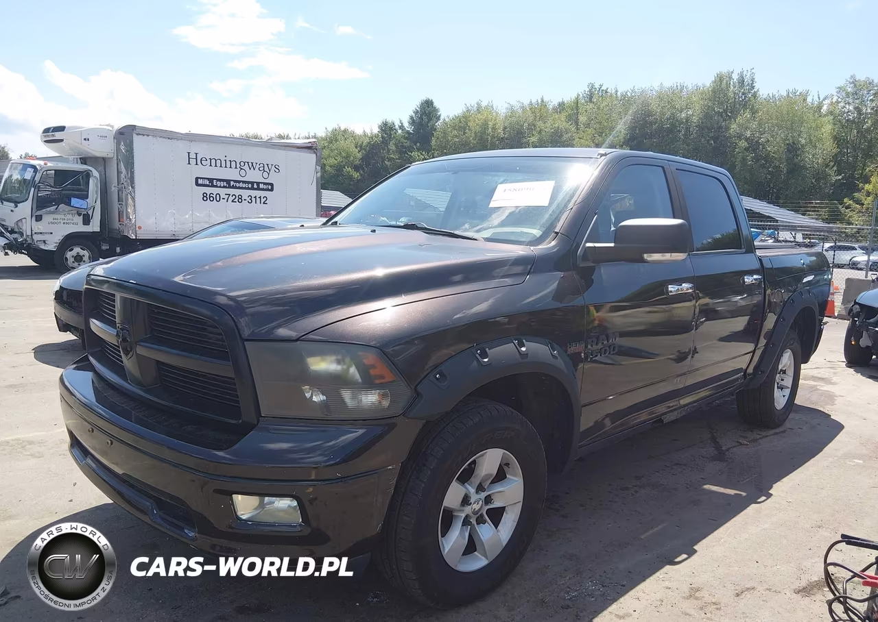 2010 Dodge Ram 1500 Slt-Sport-Trx VIN:1D7RV1CT7AS239187 - 2