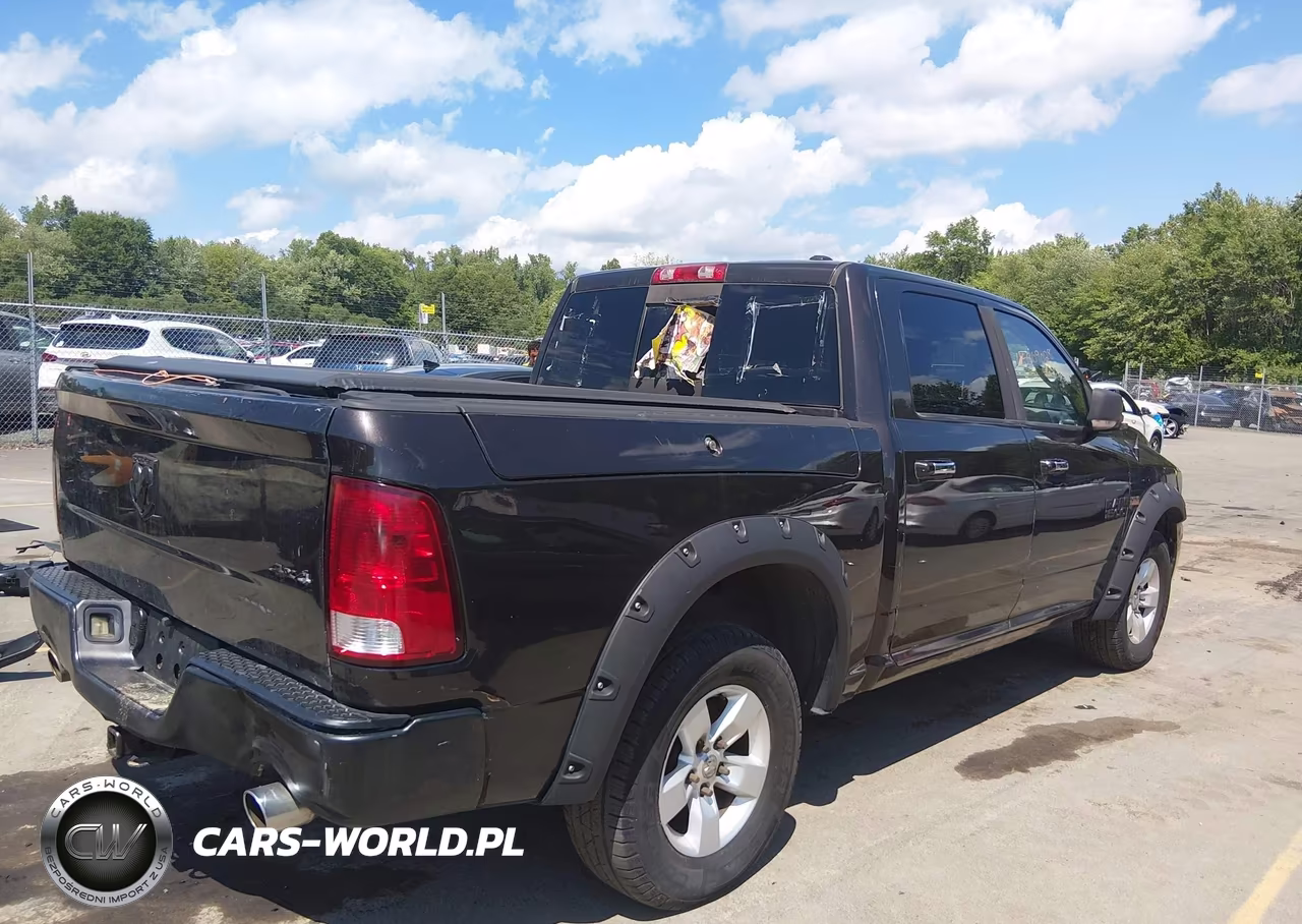 2010 Dodge Ram 1500 Slt-Sport-Trx VIN:1D7RV1CT7AS239187 - 4