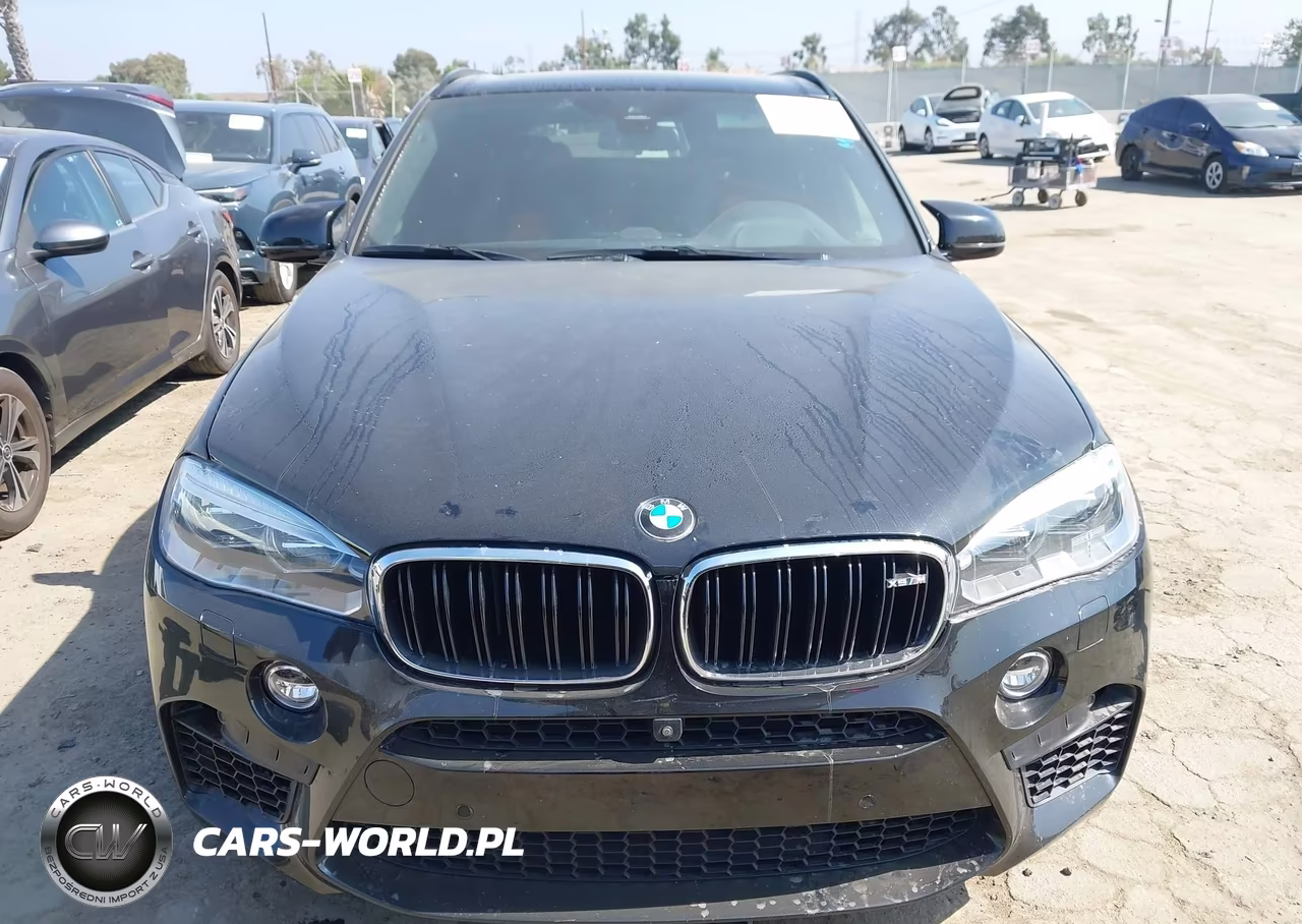 2018 BMW X5 M VIN:5YMKT6C56J0Y83170 - 12