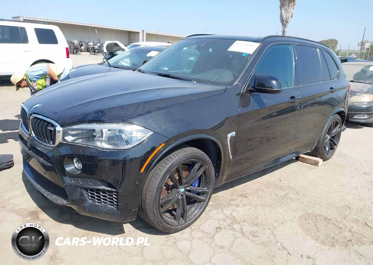 2018 BMW X5 M VIN:5YMKT6C56J0Y83170 - 2