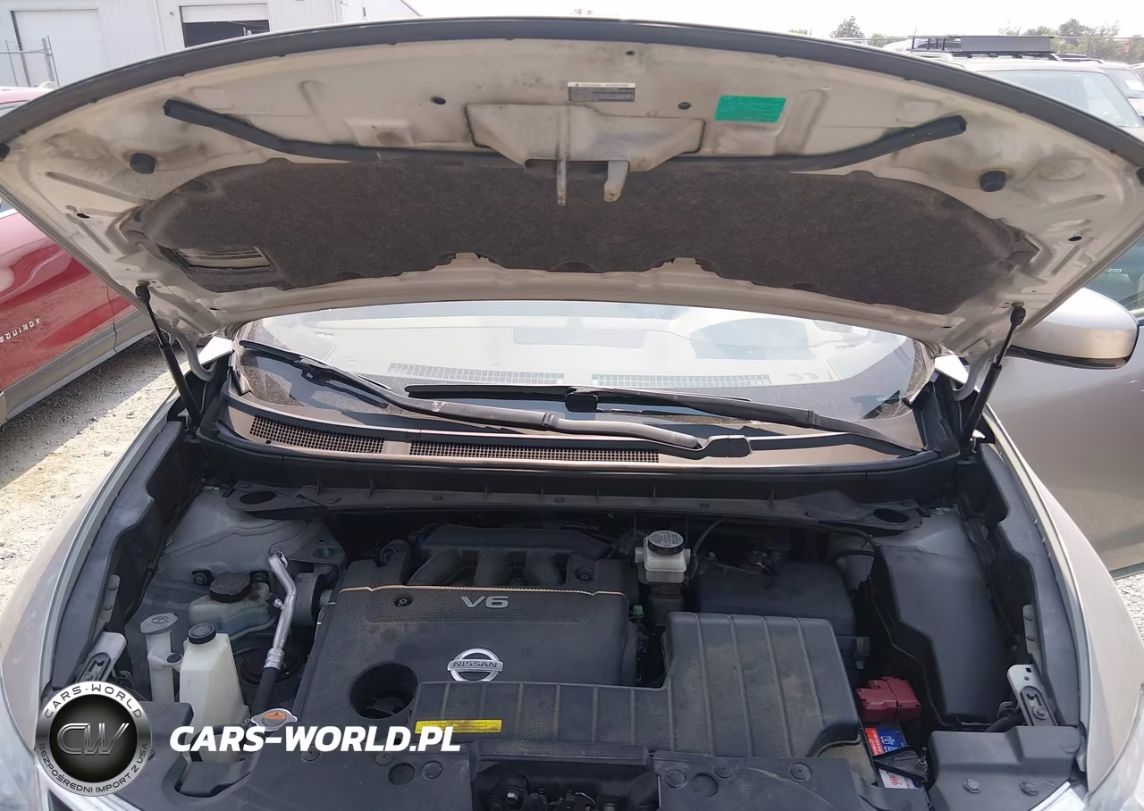 2010 Nissan Murano Sl VIN:JN8AZ1MW5AW118482 - 10
