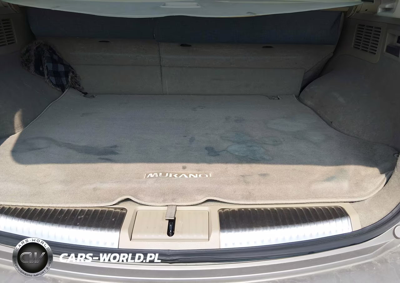 2010 Nissan Murano Sl VIN:JN8AZ1MW5AW118482 - 12