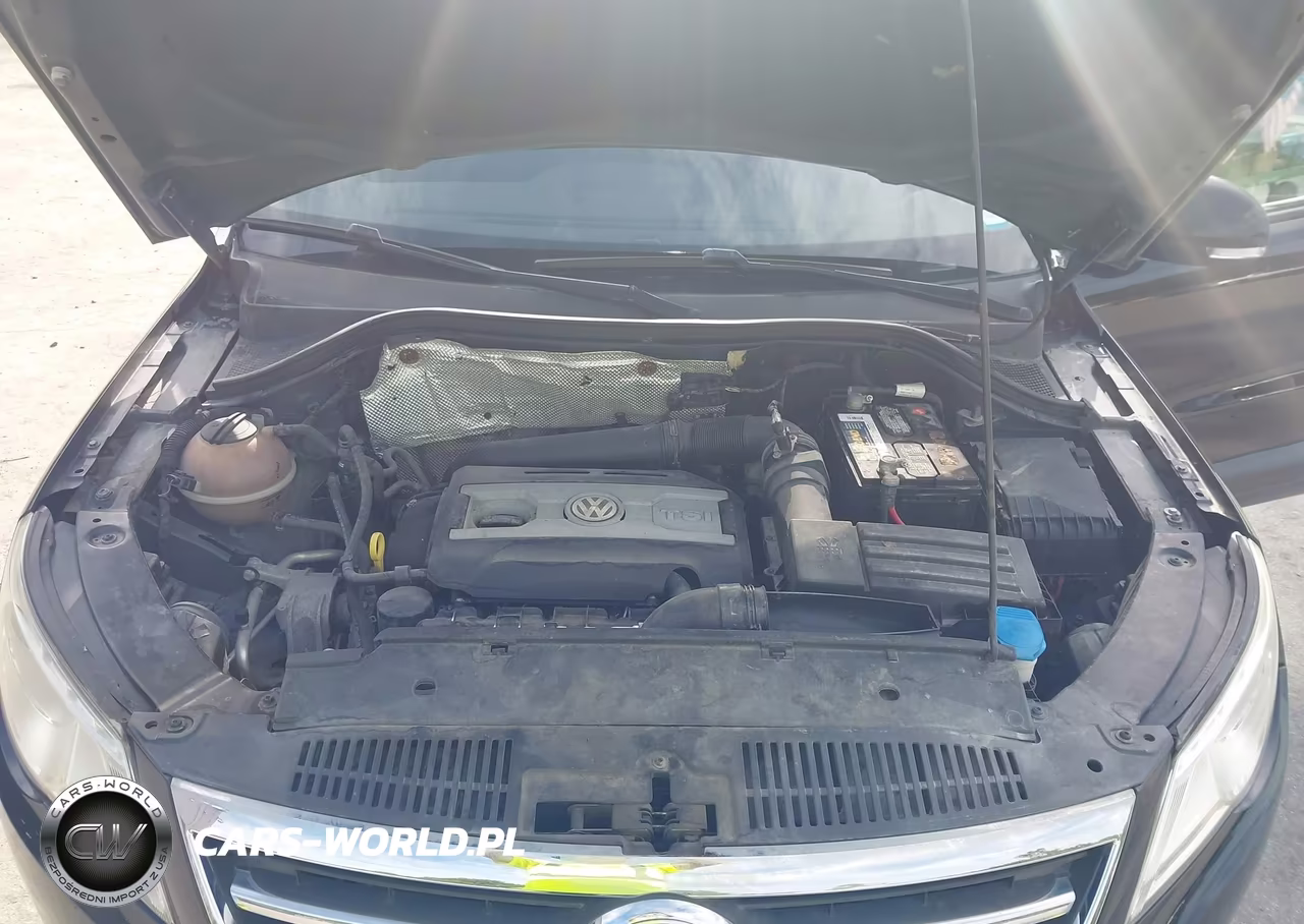 2015 Volkswagen Tiguan S VIN:WVGBV7AXXFW582396 - 10