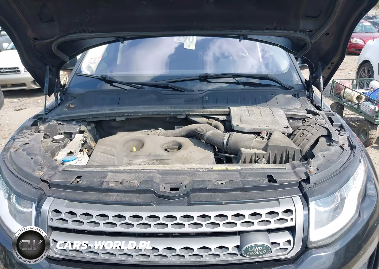 2016 Land Rover Range Rover Evoque Se-Se Premium VIN:SALVP2BG3GH078171 - 10