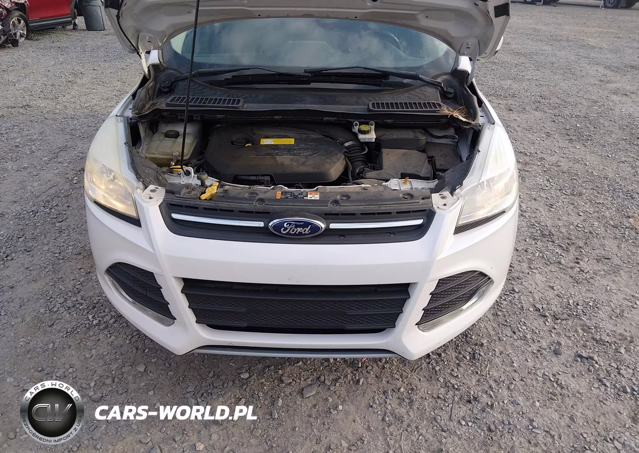 2016 Ford Escape Se VIN:1FMCU0GX7GUC07844 - 10