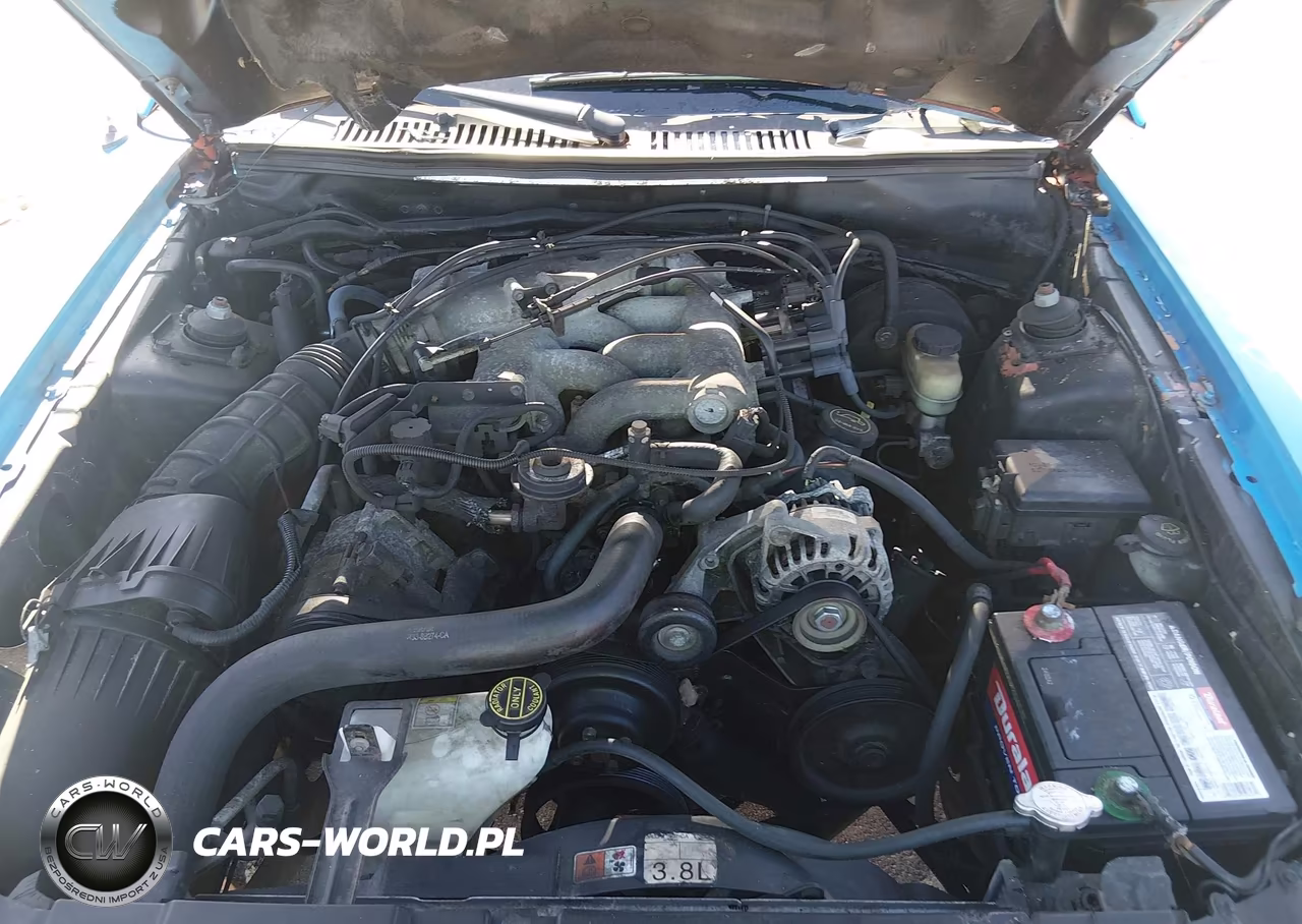 2004 Ford Mustang VIN:1FAFP44444F120063 - 10