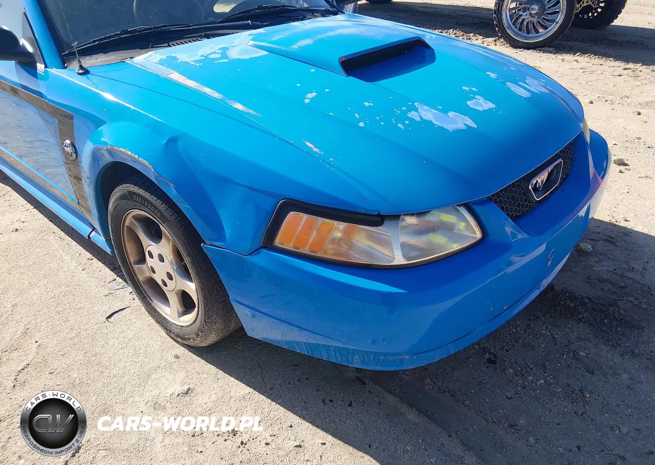 2004 Ford Mustang VIN:1FAFP44444F120063 - 6