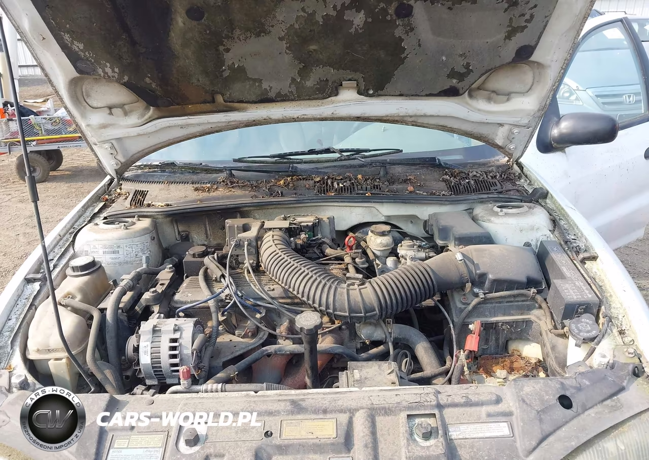 1995 Chevrolet Cavalier VIN:1G1JC5241S7183999 - 10