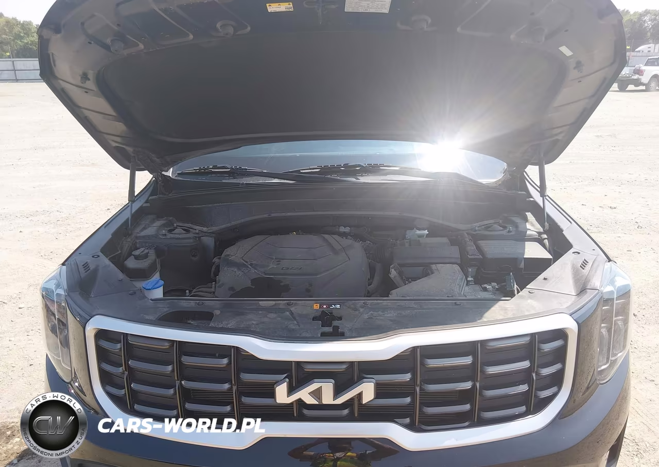 2024 Kia Telluride S VIN:5XYP6DGC3RG442461 - 10