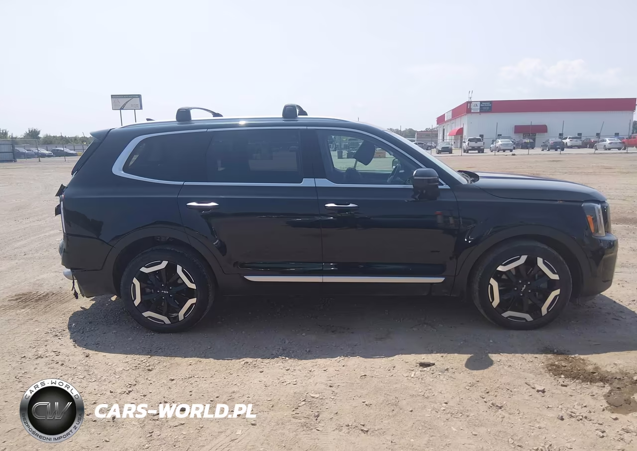 2024 Kia Telluride S VIN:5XYP6DGC3RG442461 - 13
